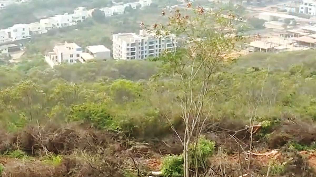 Land scam in Vizag: Allotment to a nameless IT company!