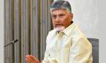 Andhra Pradesh cabinet approves key decisions amid Pawan Kalyan’s absence