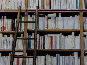 The Rise of Subscription Providers: What Buyers Have to Know