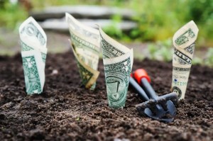How one can Select the Proper Funding Account for You