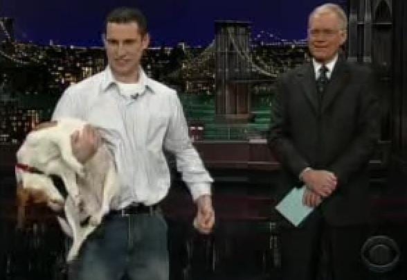 beagle plays dead stupid pet tricks letterman