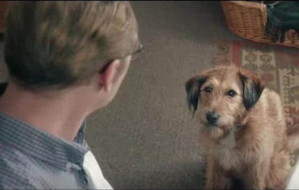 Absolutely Anything with Robin Williams as Dennis the dog