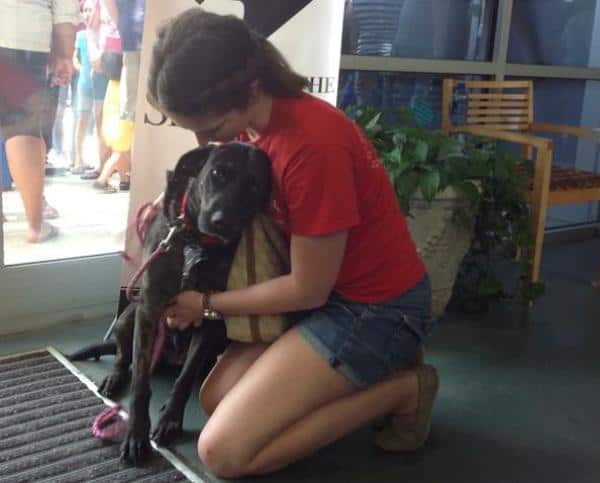 Clear the Shelters Day dog adopted
