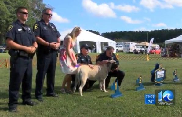Virginia deputy saves dog from burning car