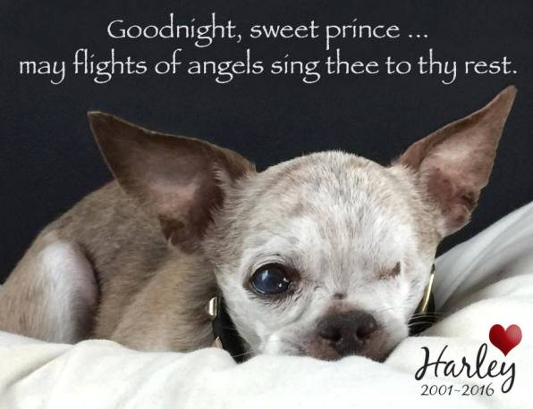 Harley American Hero Dog rest in peace