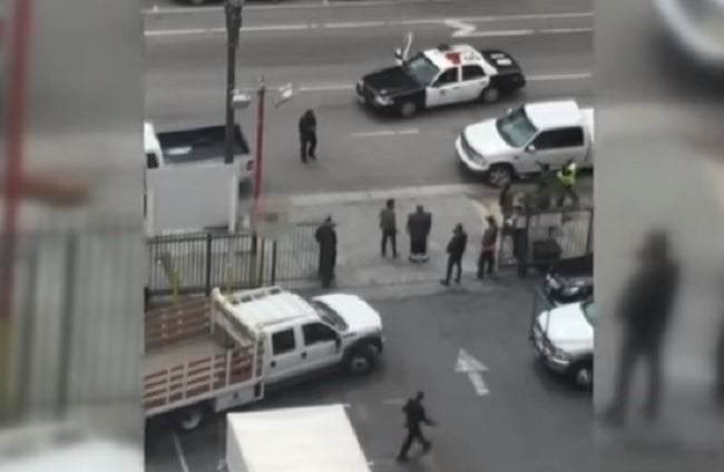 LAPD officer shoots dog near filming locataion