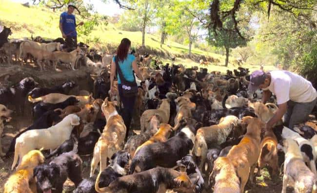 Territorio de Zaguates, Costa Rica