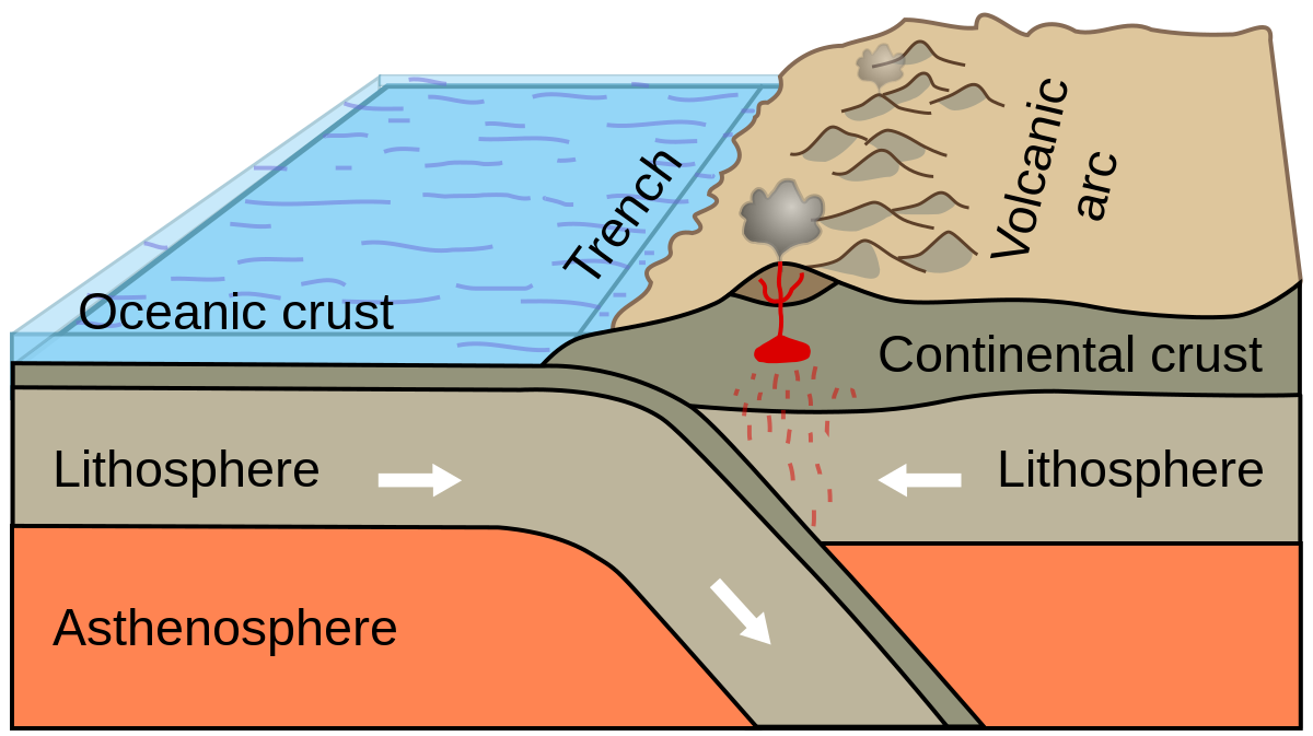 Plate tectonic -Convergent Boundaries