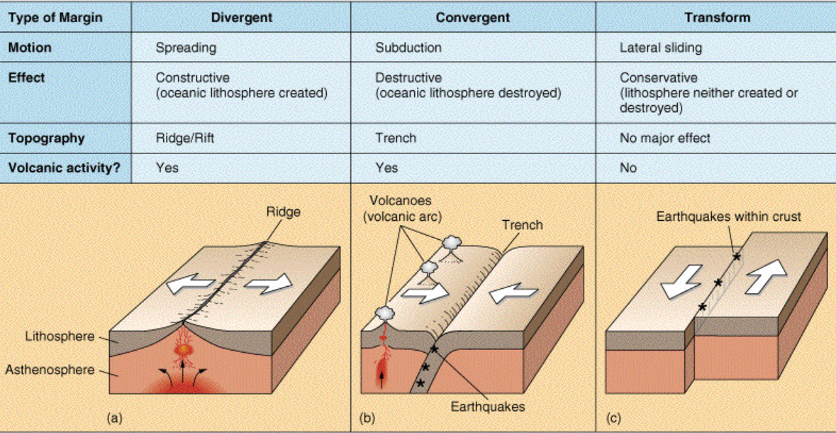  plate margins