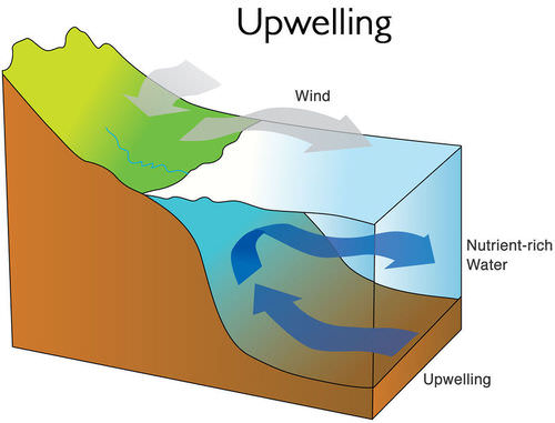 Deepwater Currents