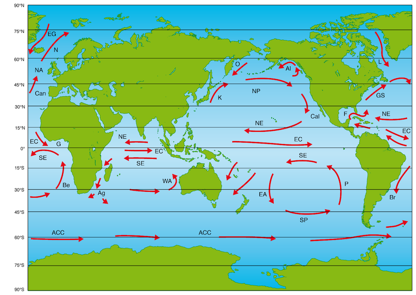 Surface Currents