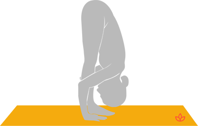 What is Uttanasana? - Definition from Yogapedia