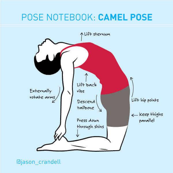 Ustrasana or Camel Pose: Yoga Pose Notebook | Jason Crandell Yoga