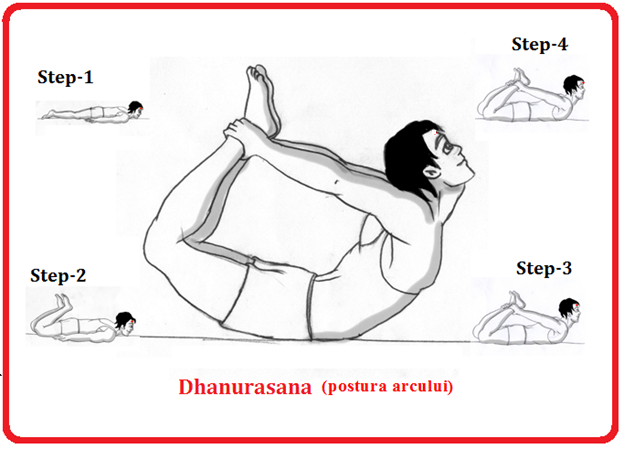 DHANURASANA (postura arcului) - UNIUNE SPIRITUALĂ uniunespirituala@yahoo.com
