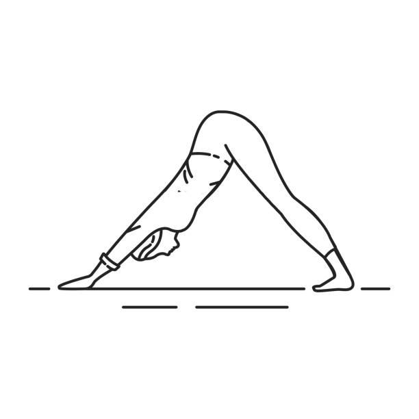 90+ Down Dog Pose Illustrations, Royalty-Free Vector Graphics & Clip Art -  iStock