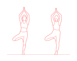 Tree Pose (Vrksasana) Dimensions & Drawings | Dimensions.com