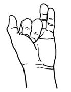 Yoga: Mudras for Pranayama