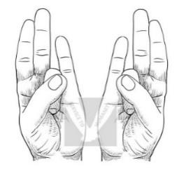 Prithvi Shaamak Mudra – MudraGuide.com