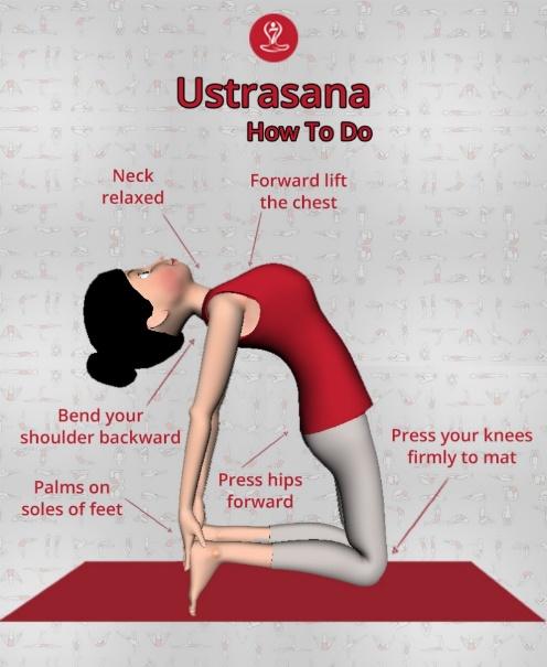 Ustrasana (Camel Pose Steps): Facts,How to do, Benefits