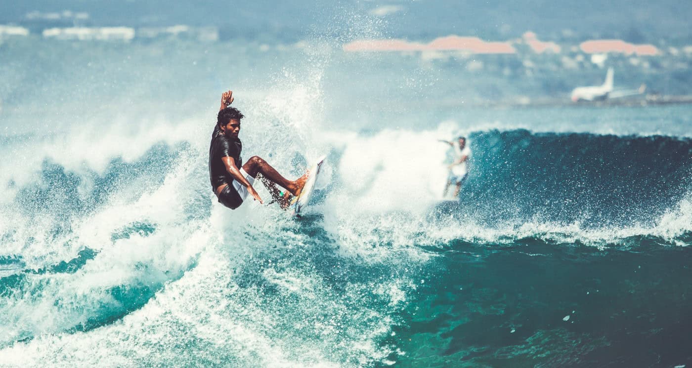 san diego surfing san diego photo safari web