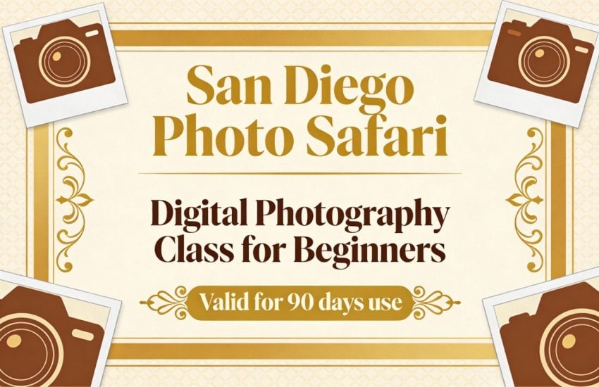 Gift Certificate for Christmas