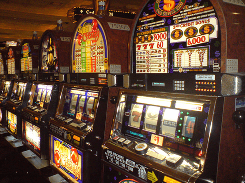 paradise 8 online casino login